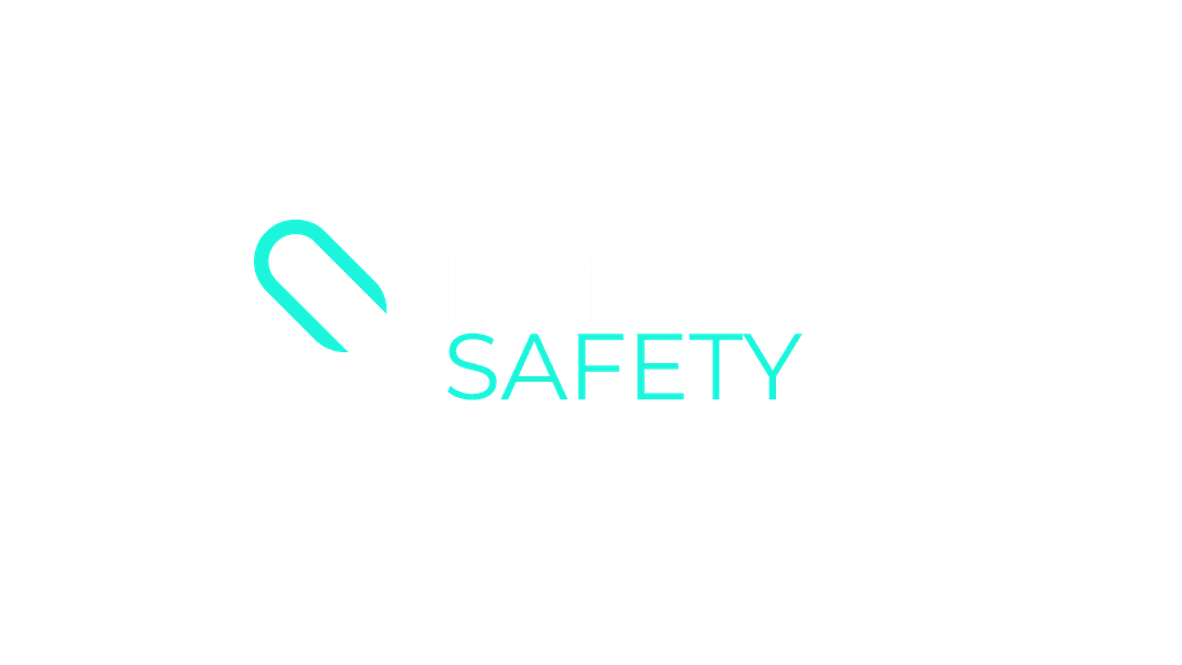 Dynamic Safety Logo